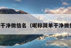 简单干净微信名（昵称简单干净微信名）
