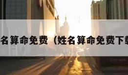 姓名算命免费（姓名算命免费下载）