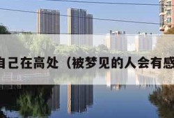 梦见自己在高处（被梦见的人会有感应吗）