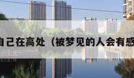 梦见自己在高处（被梦见的人会有感应吗）