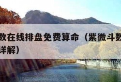 紫微斗数在线排盘免费算命（紫微斗数在线排盘免费详解）