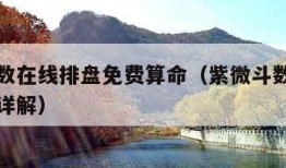 紫微斗数在线排盘免费算命（紫微斗数在线排盘免费详解）