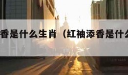 红袖添香是什么生肖（红袖添香是什么生肖?）