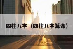四柱八字（四柱八字算命）