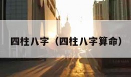 四柱八字（四柱八字算命）