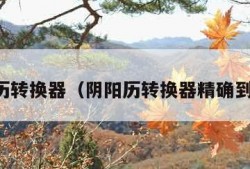 阴阳历转换器（阴阳历转换器精确到分钟）