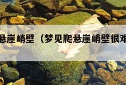 梦见爬悬崖峭壁（梦见爬悬崖峭壁很难但是成功了）