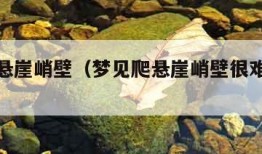 梦见爬悬崖峭壁（梦见爬悬崖峭壁很难但是成功了）
