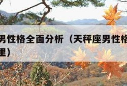 天秤座男性格全面分析（天秤座男性格全面分析感情里）
