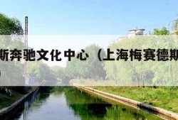 梅赛德斯奔驰文化中心（上海梅赛德斯奔驰文化中心）