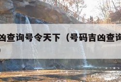 号码吉凶查询号令天下（号码吉凶查询号令天下手机）