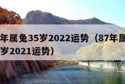 87年属兔35岁2022运势（87年属兔35岁2021运势）