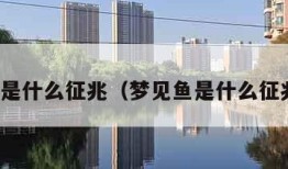 梦见鱼是什么征兆（梦见鱼是什么征兆孕妇）