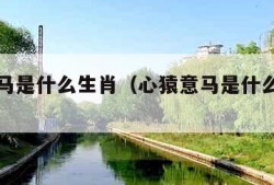 心猿意马是什么生肖（心猿意马是什么生肖和数字）