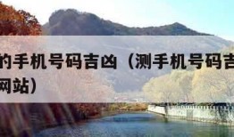 测测你的手机号码吉凶（测手机号码吉凶打分最准的网站）