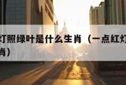 一点红灯照绿叶是什么生肖（一点红灯指的是什么生肖）