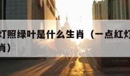 一点红灯照绿叶是什么生肖（一点红灯指的是什么生肖）